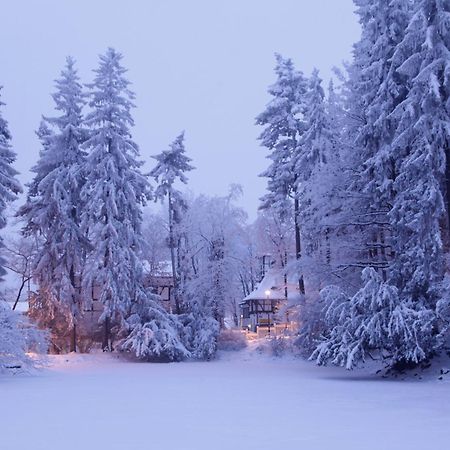 Hotel Camelot Щавно-Здруй Екстериор снимка